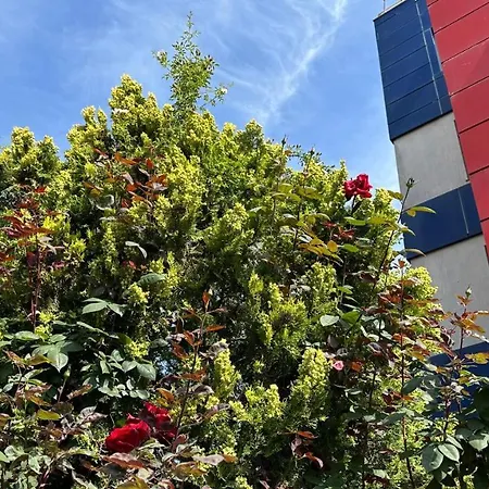 Suncity, Kiten, Bulgaria * Naousa